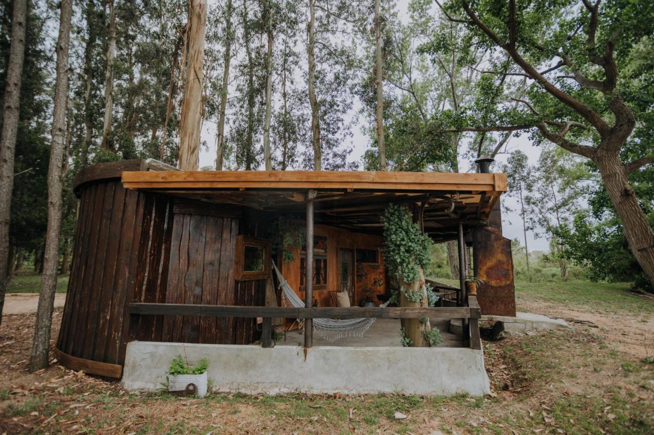 Cabanas En El Bosque A 5 Minutos Del Mar - Estancia Ch Пунта дел Есте Екстериор снимка