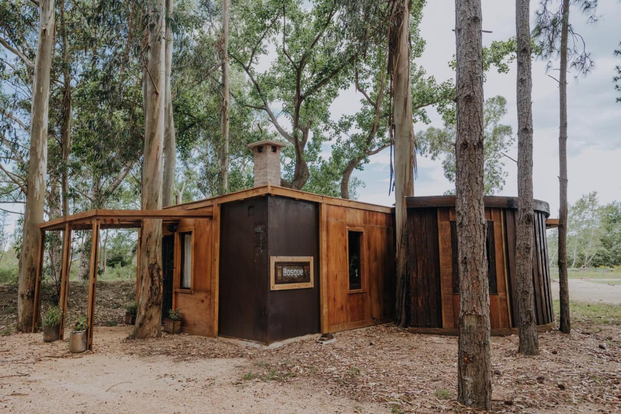 Cabanas En El Bosque A 5 Minutos Del Mar - Estancia Ch Пунта дел Есте Екстериор снимка